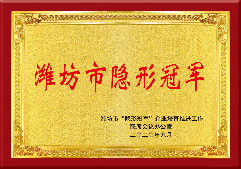 濰坊市隐形冠軍(jun)